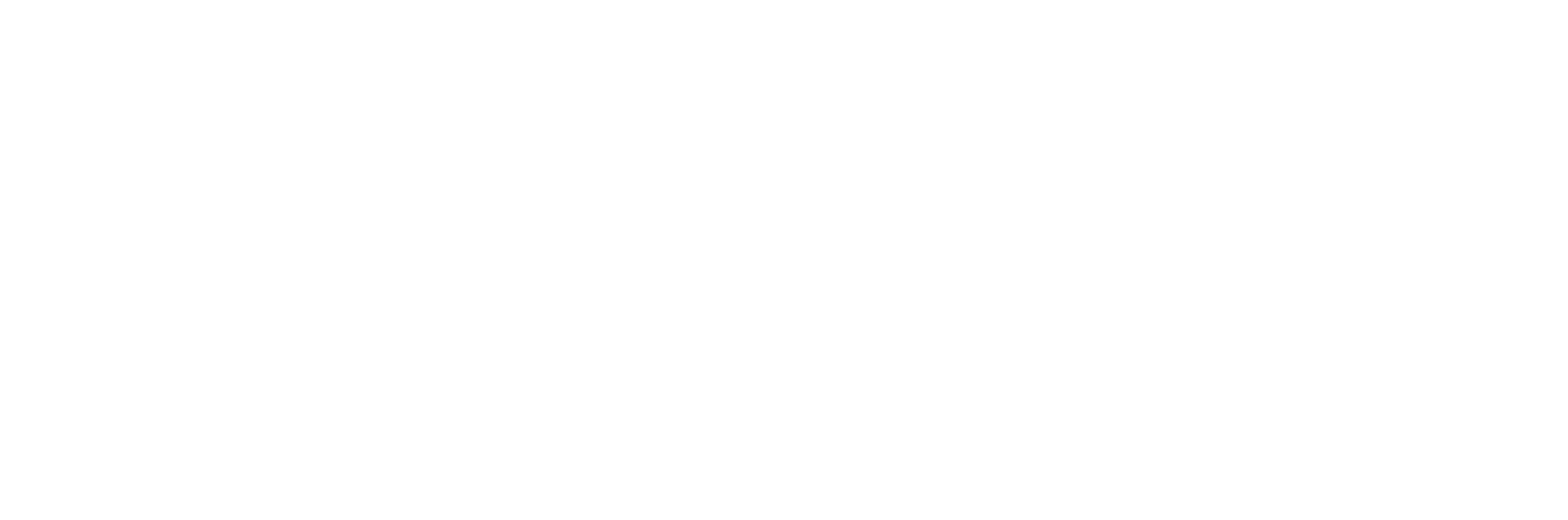 Experian Logo